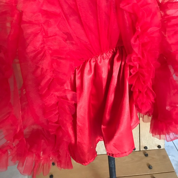 Red Tutu Dress - Picture 6 of 6